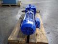 4 HP GEAR DRIVE