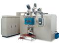 Riello Sistemi Trunnion Transfer Machine