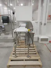 CEIA THS/MS21 250×175 Metal Detector, 2023