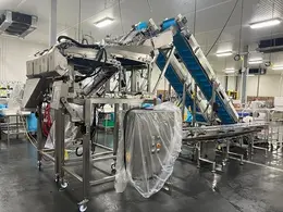 Complete System for Produce Filling Including (2) Weighpack Primolinear C-10 Two-Lane Linear Net Weighers with (2) Incline Infeed Conveyors and Floor Stands