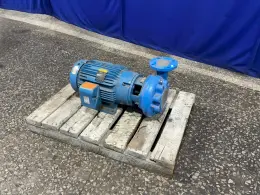 GOULDS PUMPS PUMP  -  3656