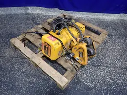 HARRINGTON 2 TON ELECTRIC CHAIN HOIST  -  EP1A-00SY3915