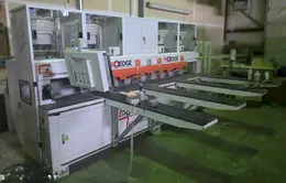 Pro Edge 3-Axis CNC Router &amp; Lockdowel Insertion Machine PET2440-LD 2024
