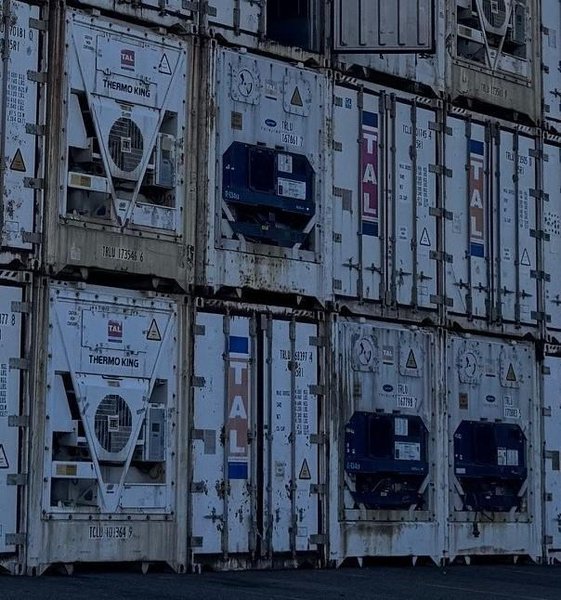 40' REFRIGERATED SHIPPING CONTAINER. STOCK # 0993225.