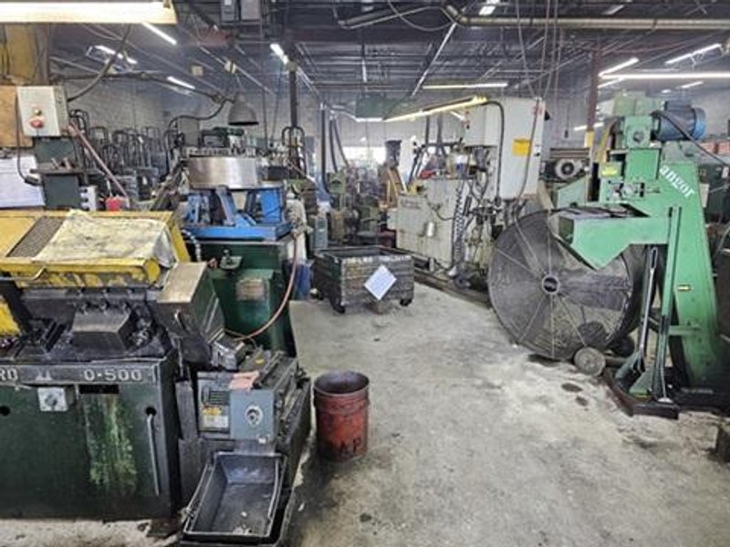 SMALL SCREW PLANT