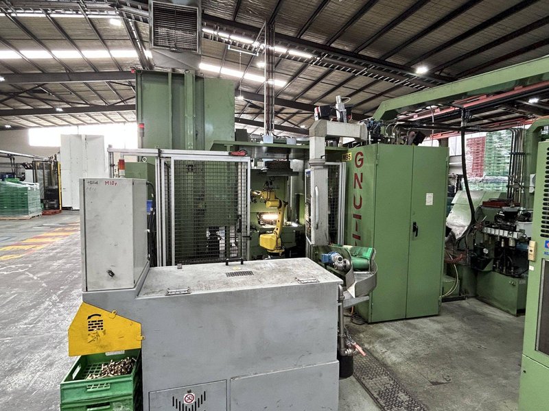 Gnutti Transfer &amp; Eurofimet Tunnel Wash Machine
