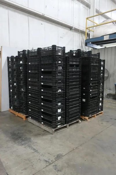 (800) 23" X 15" PLASTIC STORAGE TOTES / BASKETS: STOCK #20582