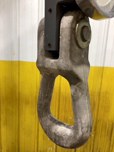 50,000 LBS X 10" DILLON AP SERIES DYNAMOMETER CRANE SCALE: STOCK #17244