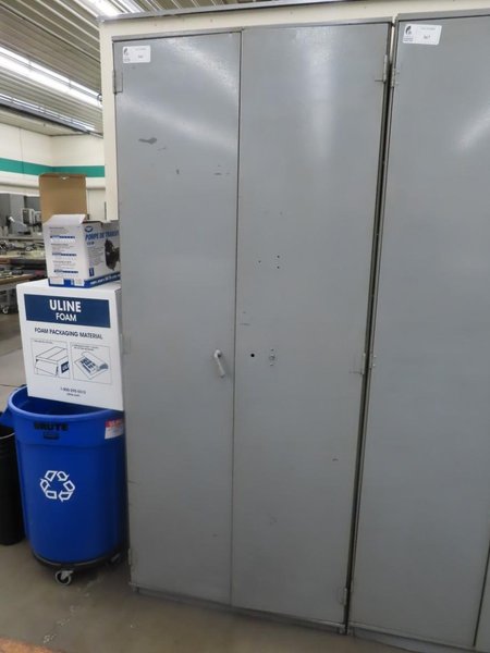 Cabinet 2 Door w Contents of Assorted Painting and Cleaning Supplies- AND MORE!- Auction Item