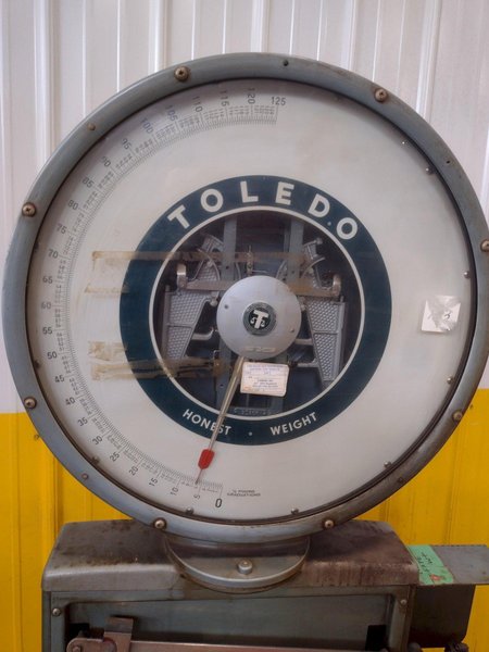 125 LB TOLEDO MODEL #2181 FLOOR SCALE: STOCK #18816