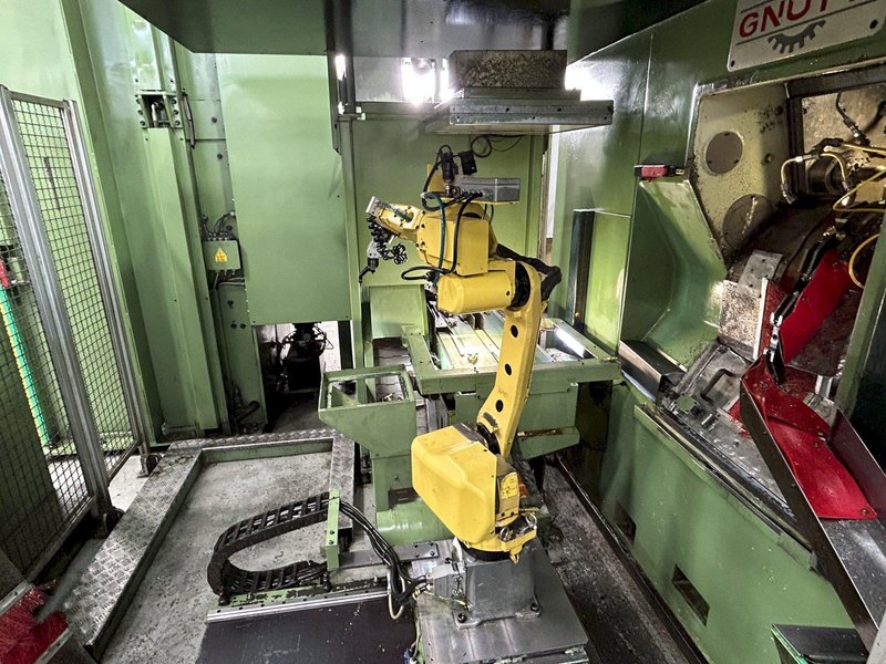 Gnutti Transfer &amp; Eurofimet Tunnel Wash Machine