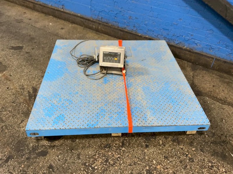 Avery Weigh-tronix 5000 Lbs Floor Scale - Dsl4848-05