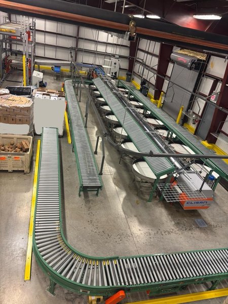 Automated Fruit Packing Line – Durand-Wayland + Elisam – Bin Tipper, Sizer, Optical Sorter – 2021