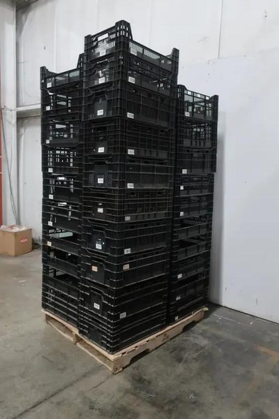 (800) 23" X 15" PLASTIC STORAGE TOTES / BASKETS: STOCK #20582