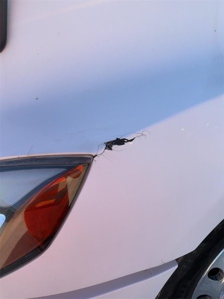 2018 FREIGHTLINER CASCADIA 126 3AKJHHDR5JSJC9851