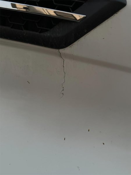 2019 Freightliner Cascadia 1FUJHHDR5KLKM7237