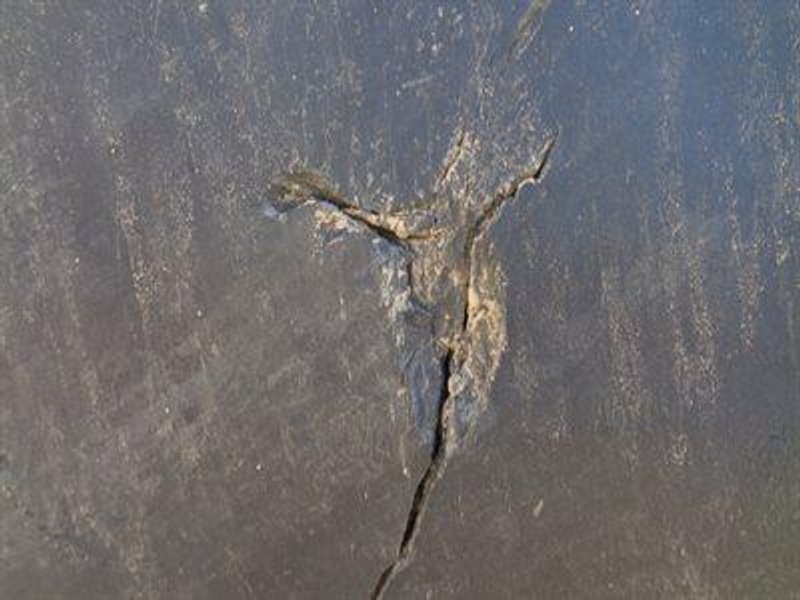 2022 Bell B45E B93A645EC03007849