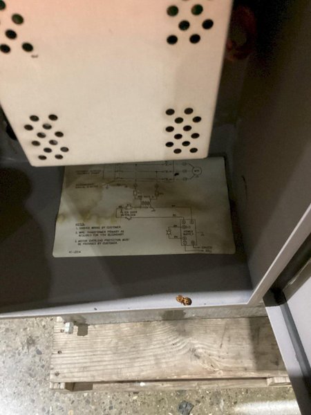 UNITED AIR SPECIALISTS SHN-20-H MIST COLLECTOR USED