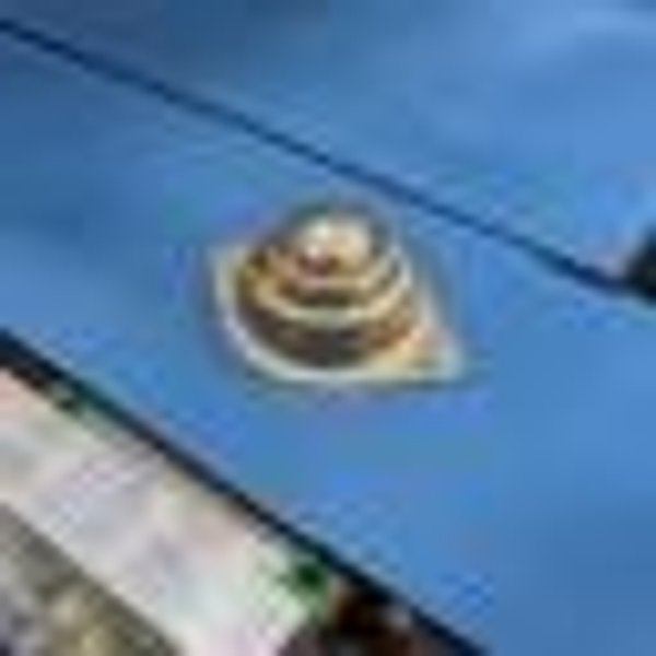 5′ x 10′ Baileigh PT-105HD-V2 CNC Plasma Cutting Table, 2023 – Brand NEW, Automatic Torch Height Control, 1-Year Parts Warranty