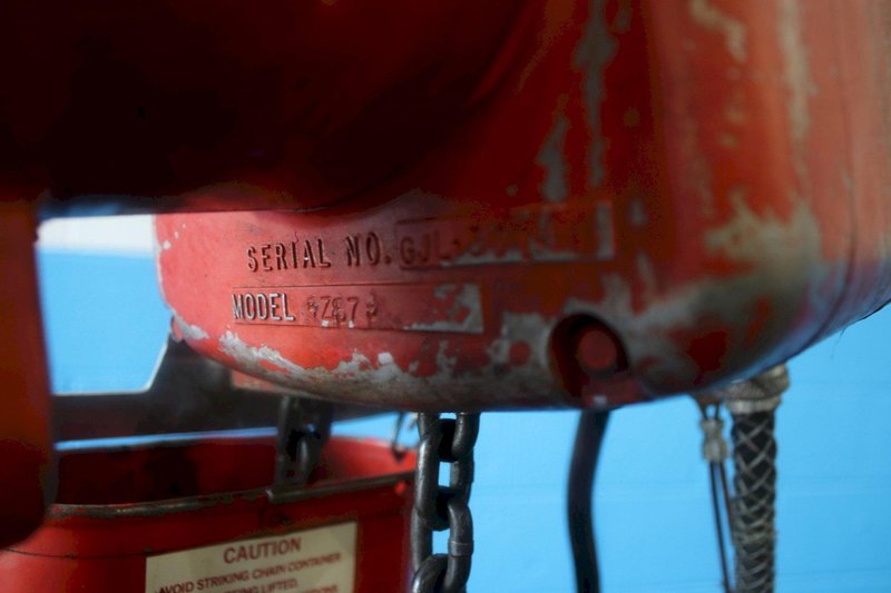 1000 LBS DAYTON SINGLE PHASE ELECTRIC HOIST: STOCK #75163