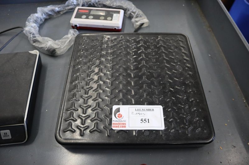 Electronic Scales: Rubbermaid 150Lb Battery Powered Scale and Dymo M10 10 Lb (2g Resolution) Scale- Auction Item