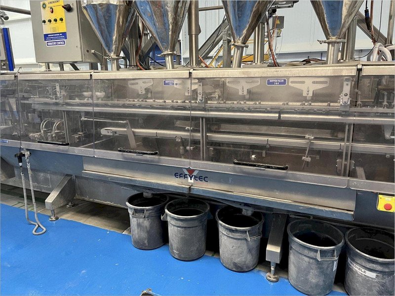 Effytec GP402 Horizontal Form-Fill-Seal Machine – 2016 – HFFS for Pouches, Liquids &amp; Powders