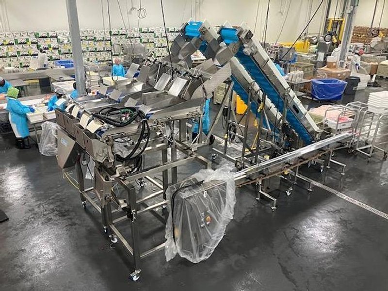 Complete System for Produce Filling Including (2) Weighpack Primolinear C-10 Two-Lane Linear Net Weighers with (2) Incline Infeed Conveyors and Floor Stands