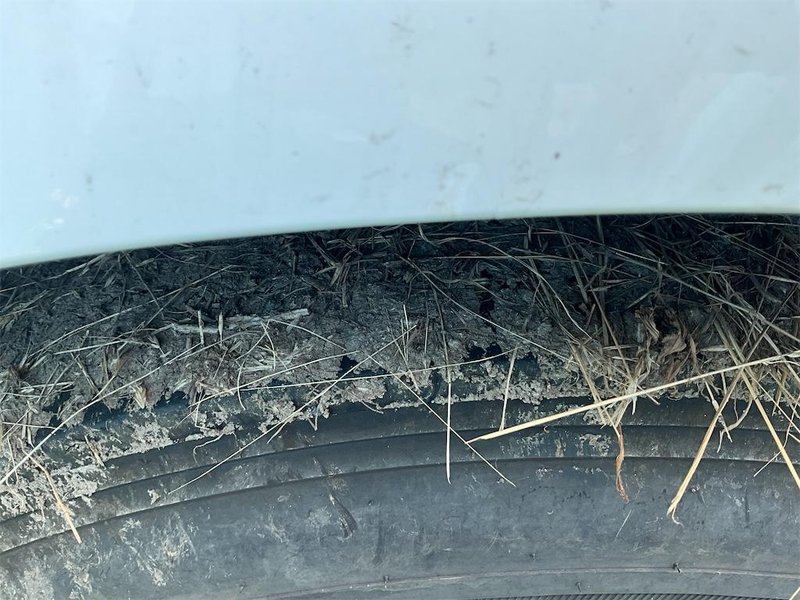 2021 Freightliner Cascadia 1FUJHHDR6MLMJ2151