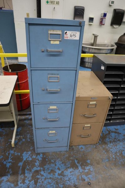 Metal Vertical File Cabinets 2 and 4 Drawer and Multi Slot File Organizer- Auction Item