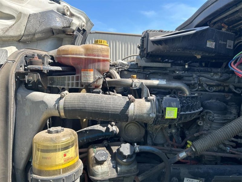 2019 Freightliner Cascadia KK8173