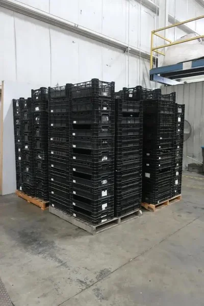 (800) 23&quot; X 15&quot; PLASTIC STORAGE TOTES / BASKETS: STOCK #20582