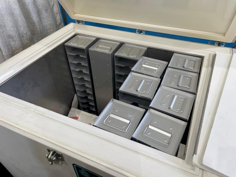 NEW BRUNWICK MODEL #C340-86 SUB ZERO FREEZER: STOCK #77013