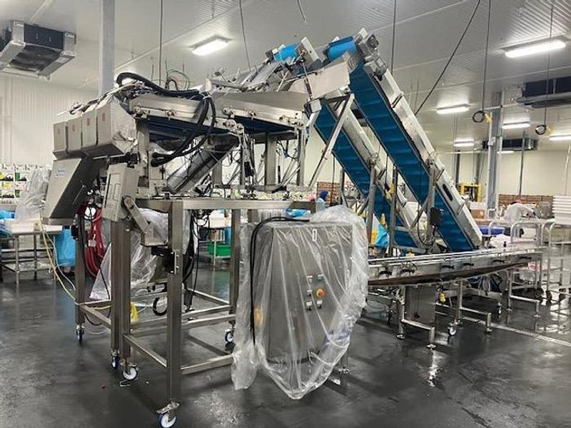 Complete System for Produce Filling Including (2) Weighpack Primolinear C-10 Two-Lane Linear Net Weighers with (2) Incline Infeed Conveyors and Floor Stands