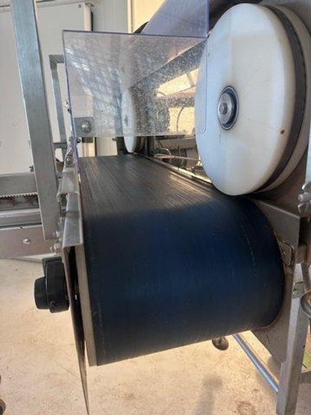 GEGE Harvesting System with VBE Bandsaw and Conveyor, 2019