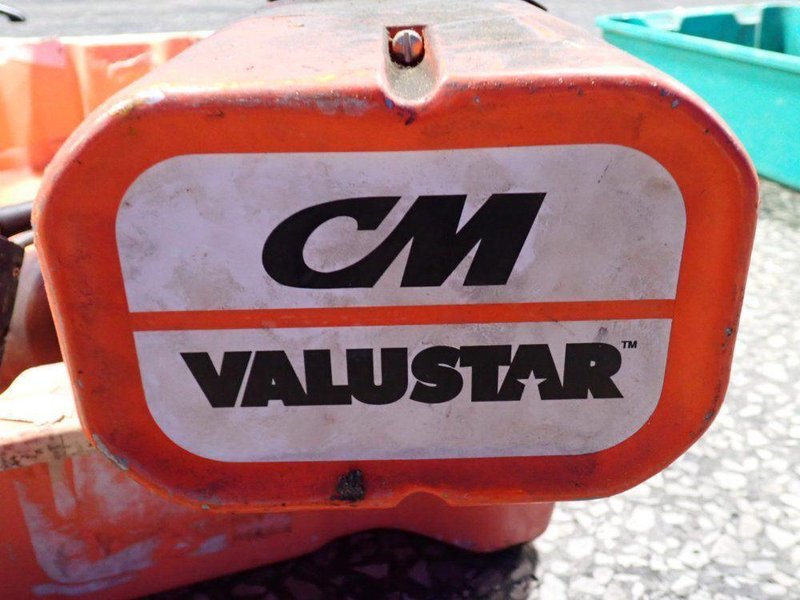 CM 1/2 TON HOIST  -  WF