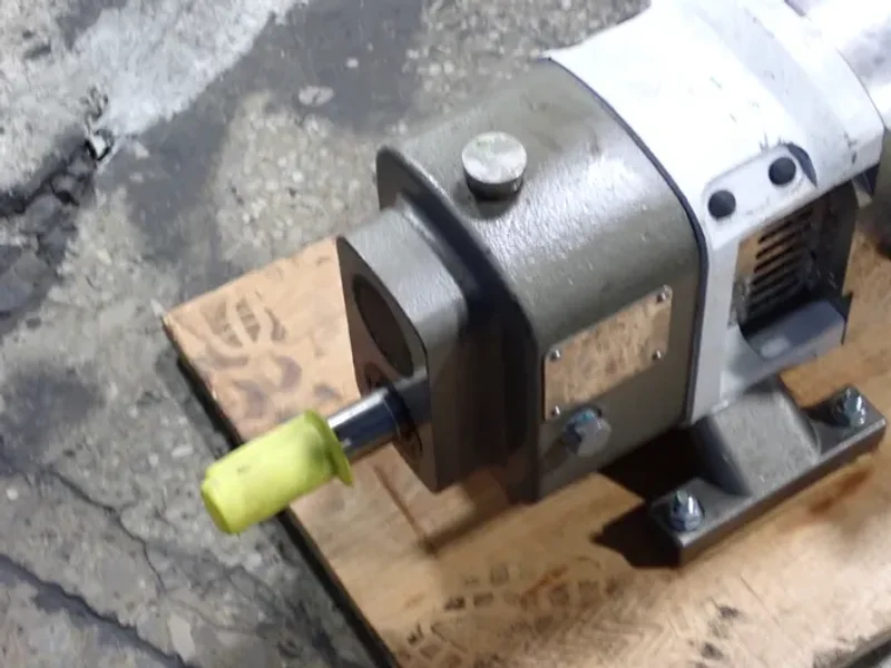 WRIGHT FLOW PUMP  -  CP20/0031