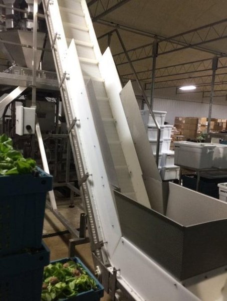 Ohlson 10 Head Scale System w Conveyor &amp; Mezzanine