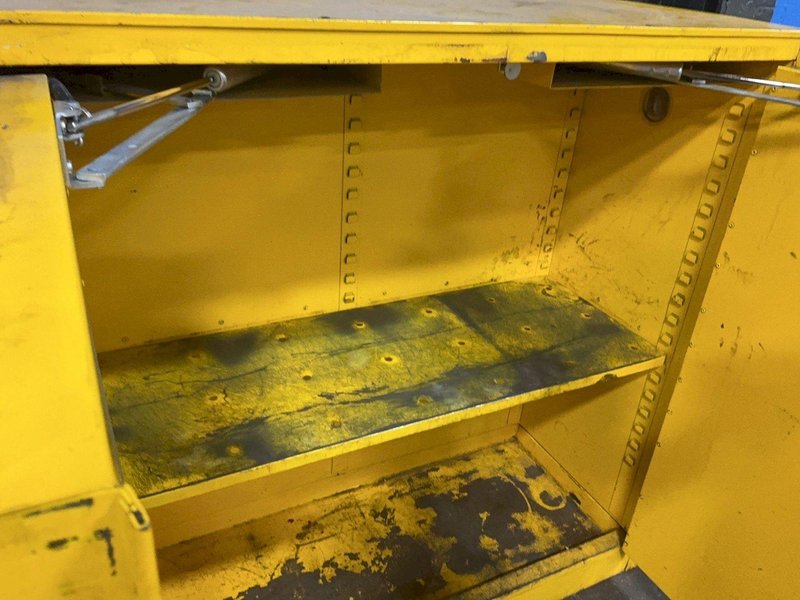 PROTECTOSEAL CO 30 GAL FLAMMABLE CABINET  -  5503S