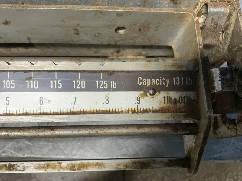 CHATILION 131 LBS SCALE  -  PBB-131XD