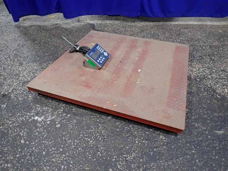 BTEK 5000 LBS / 48" X 48" DIGITAL FLOOR SCALE   -  BT-4848-5K-FEFS-TA