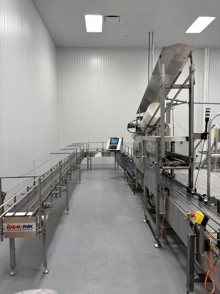 Ideal-Pak AE2-CES Pail Filling Line, 2022 – 2 Head, Never Used