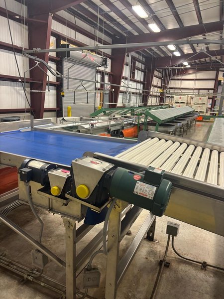 Automated Fruit Packing Line – Durand-Wayland + Elisam – Bin Tipper, Sizer, Optical Sorter – 2021