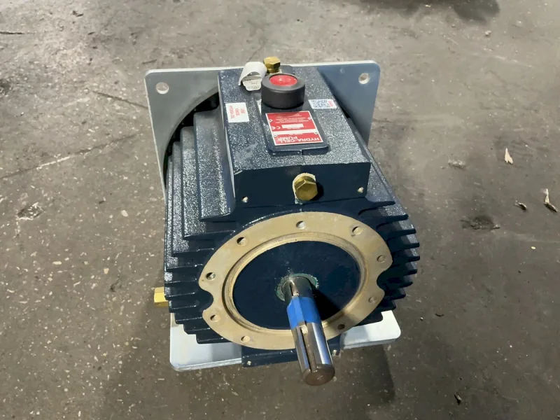 WANNER ENGINEERING INC. HYDRA-CELL DIAPHRAGM PUMP  -  D17XKBGHFECA