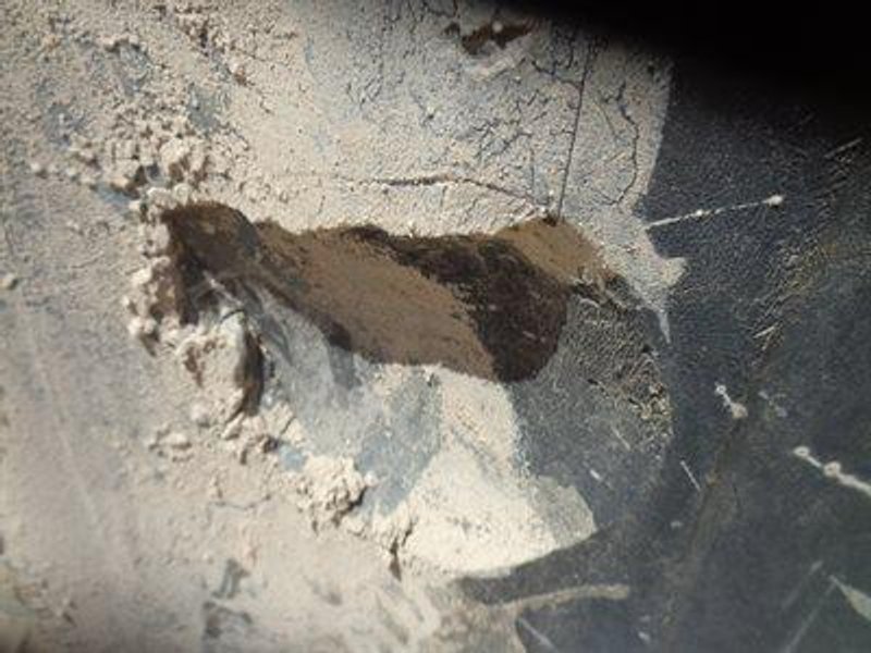 2022 Bell B45E B93A645EC03007849