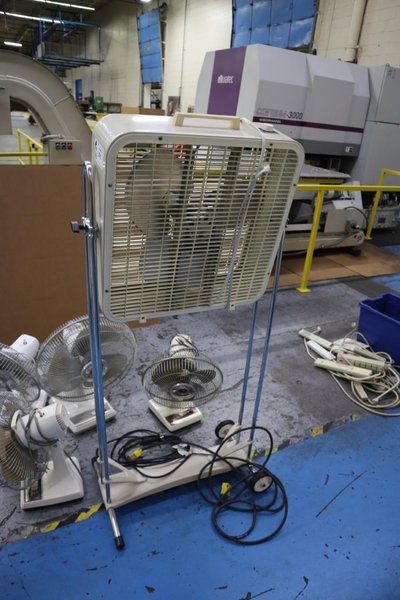 Fans Assorted (5pcs)- Auction Item