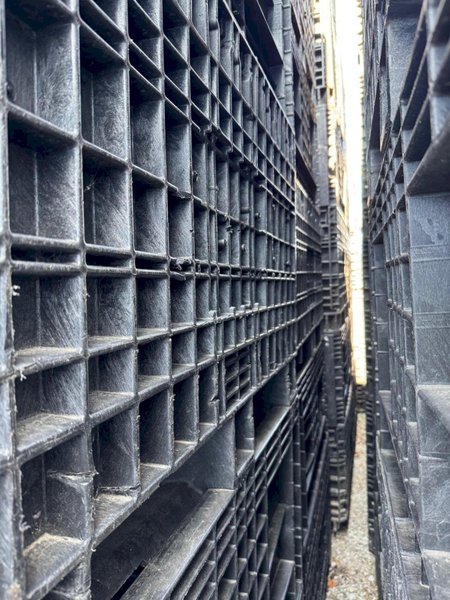 48 x 45 x 50 – 2,500 LBS. COLLAPSIBLE BULK PLASTIC CONTAINERS (QTY 10)