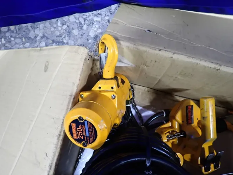 HARRINGTON 250 LBS HOIST   -  AH250M