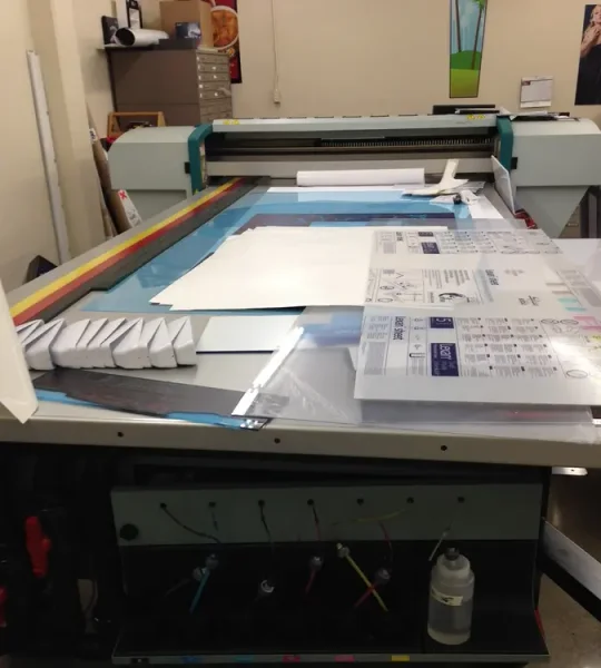 2006 OCE ARIZONA T220 | Printing Equipment