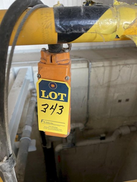Yale 4 ton electric hoist with pendent controls on monorail