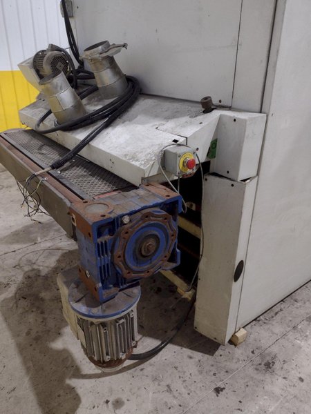 53" x 3 HEAD BIESSE REGAL MODEL #530-1350 WIDE BELT SANDER FINISHER: STOCK #22074